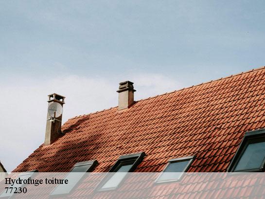 Hydrofuge toiture  moussy-le-neuf-77230 Entreprise Desimpel 77