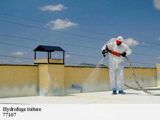Hydrofuge toiture  ormesson-77167 Entreprise Desimpel 77