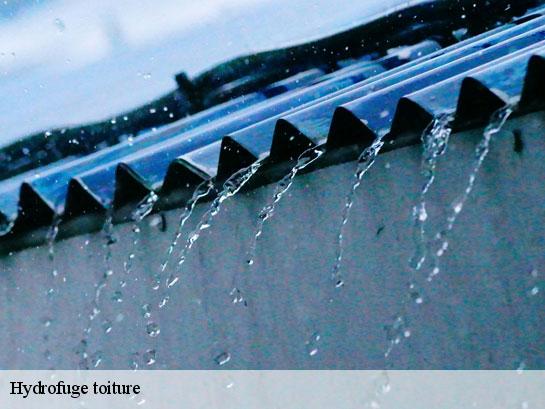 Hydrofuge toiture  saacy-sur-marne-77730 Entreprise Desimpel 77