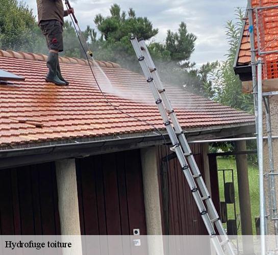 Hydrofuge toiture 77370