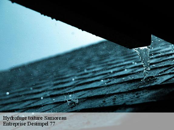 Hydrofuge toiture  samoreau-77210 Entreprise Desimpel 77