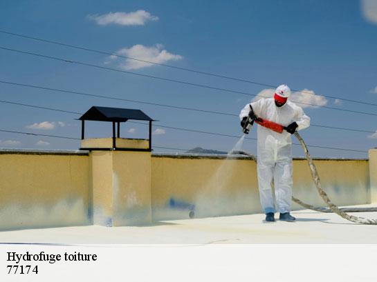 Hydrofuge toiture  villeneuve-saint-denis-77174 Entreprise Desimpel 77