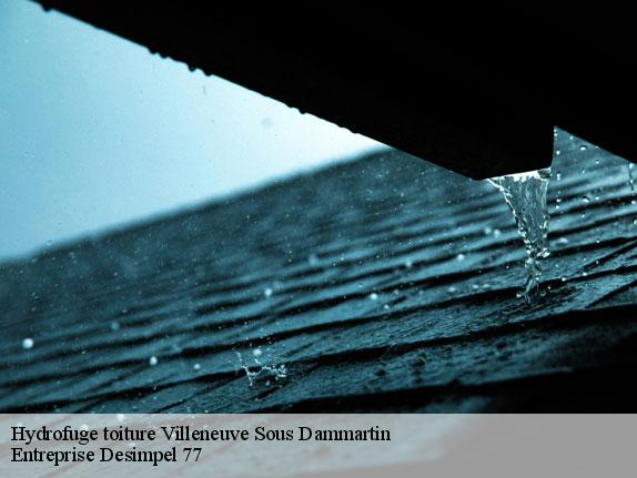 Hydrofuge toiture  villeneuve-sous-dammartin-77230 Entreprise Desimpel 77