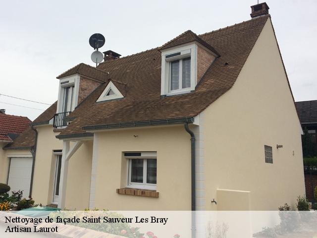 Nettoyage de façade  saint-sauveur-les-bray-77480 Artisan Laurot