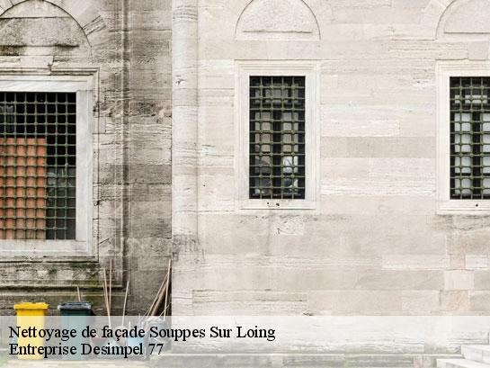 Nettoyage de façade  souppes-sur-loing-77460 Entreprise Desimpel 77