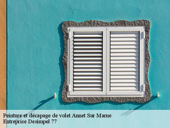 Peinture et décapage de volet  annet-sur-marne-77410 Entreprise Desimpel 77