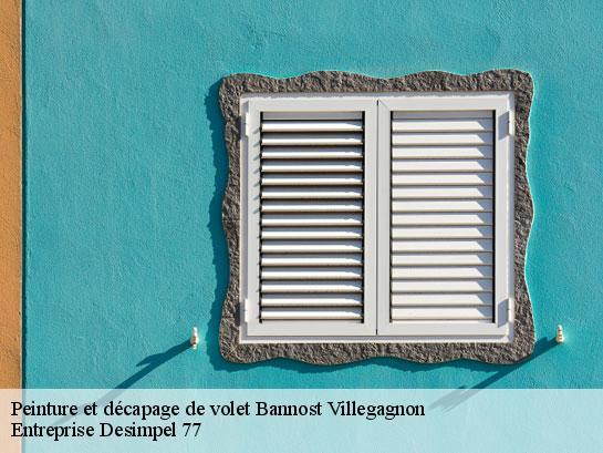 Peinture et décapage de volet  bannost-villegagnon-77970 Entreprise Desimpel 77