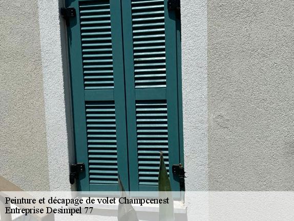 Peinture et décapage de volet  champcenest-77560 Entreprise Desimpel 77