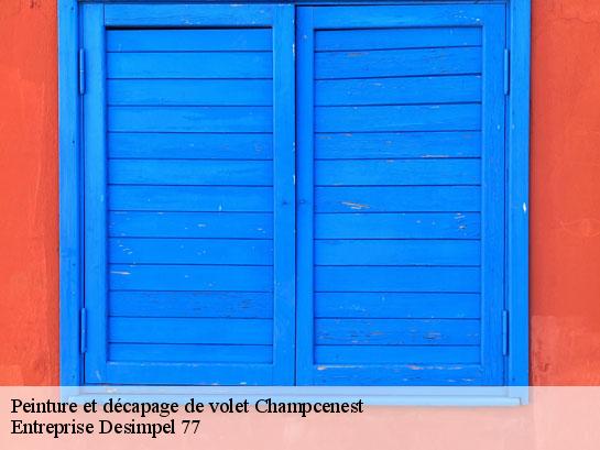 Peinture et décapage de volet  champcenest-77560 Entreprise Desimpel 77