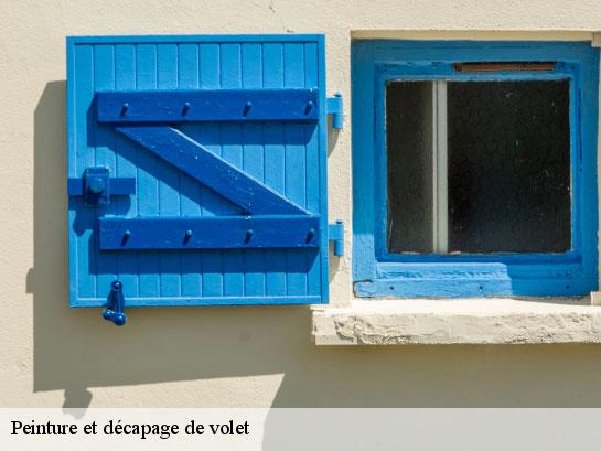 Peinture et décapage de volet  la-chapelle-gauthier-77720 Entreprise Desimpel 77