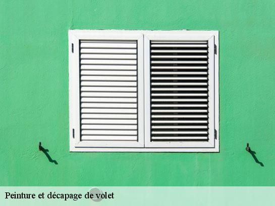 Peinture et décapage de volet  la-chapelle-gauthier-77720 Entreprise Desimpel 77