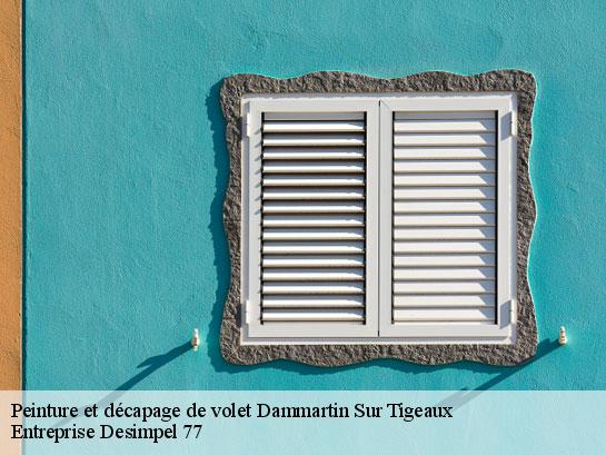 Peinture et décapage de volet  dammartin-sur-tigeaux-77163 Entreprise Desimpel 77