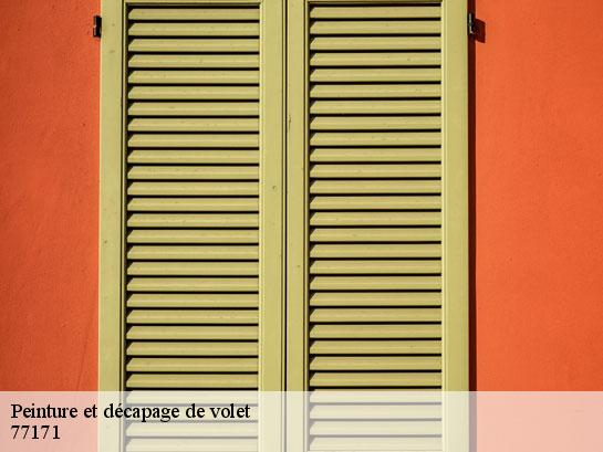 Peinture et décapage de volet  lechelle-77171 Entreprise Desimpel 77