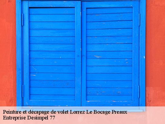 Peinture et décapage de volet  lorrez-le-bocage-preaux-77710 Entreprise Desimpel 77