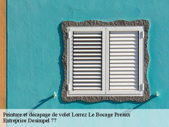 Peinture et décapage de volet  lorrez-le-bocage-preaux-77710 Entreprise Desimpel 77