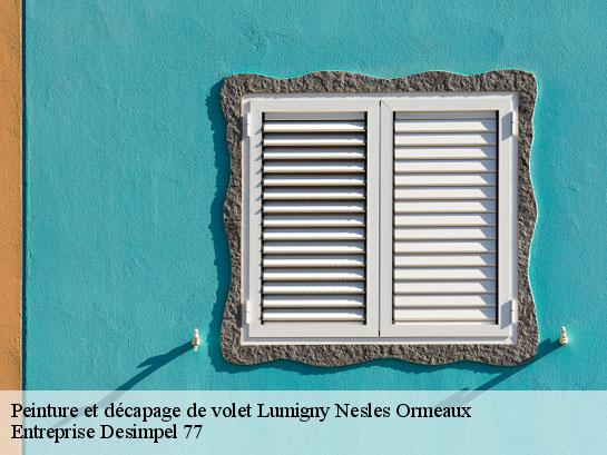 Peinture et décapage de volet  lumigny-nesles-ormeaux-77540 Entreprise Desimpel 77