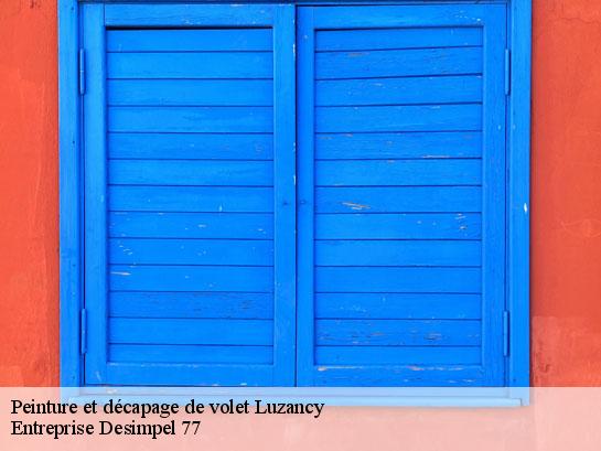 Peinture et décapage de volet  luzancy-77138 Entreprise Desimpel 77