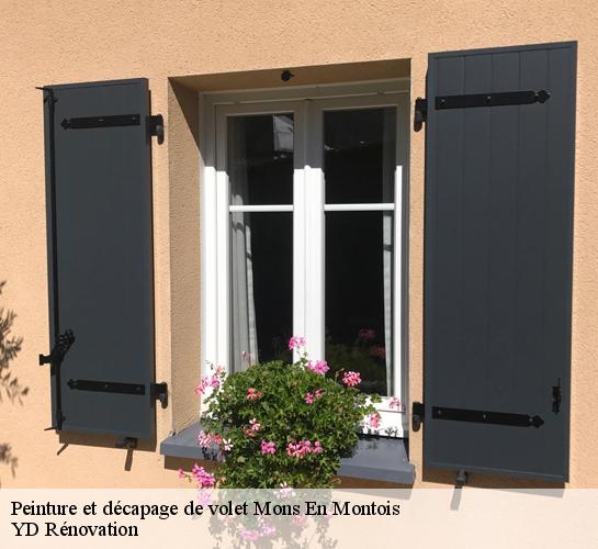 Peinture et décapage de volet  77520