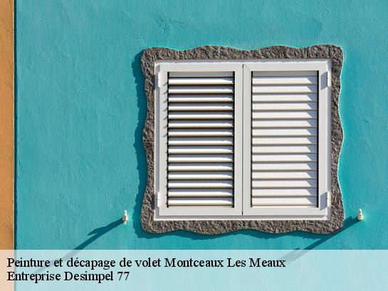 Peinture et décapage de volet  montceaux-les-meaux-77470 Entreprise Desimpel 77