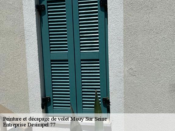 Peinture et décapage de volet  mouy-sur-seine-77480 Entreprise Desimpel 77