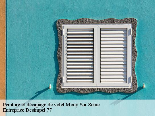 Peinture et décapage de volet  mouy-sur-seine-77480 Entreprise Desimpel 77
