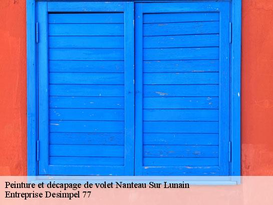Peinture et décapage de volet  nanteau-sur-lunain-77710 Entreprise Desimpel 77