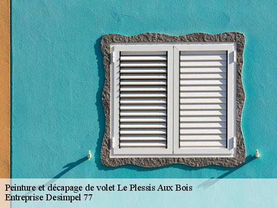 Peinture et décapage de volet  le-plessis-aux-bois-77165 Entreprise Desimpel 77