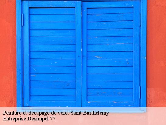 Peinture et décapage de volet  saint-barthelemy-77320 Entreprise Desimpel 77