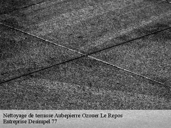 Nettoyage de terrasse  aubepierre-ozouer-le-repos-77720 Entreprise Desimpel 77