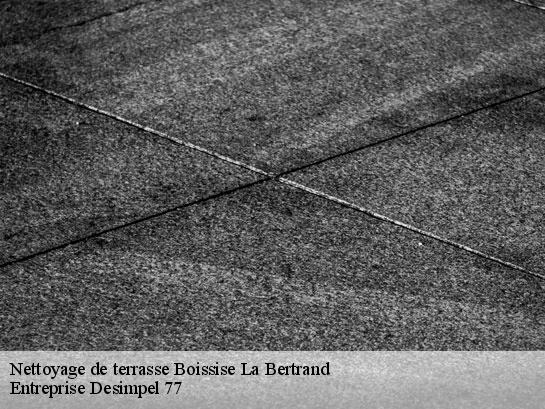 Nettoyage de terrasse  boissise-la-bertrand-77350 Entreprise Desimpel 77