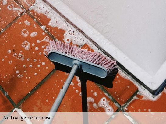 Nettoyage de terrasse  brou-sur-chantereine-77177 Entreprise Desimpel 77
