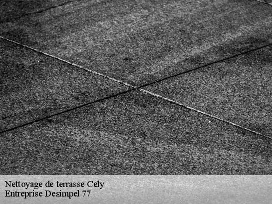 Nettoyage de terrasse  cely-77930 Entreprise Desimpel 77