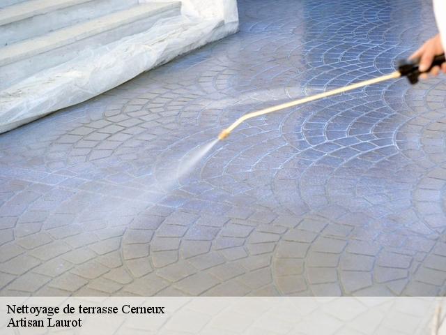 Nettoyage de terrasse  cerneux-77320 Artisan Laurot