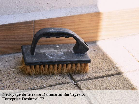 Nettoyage de terrasse  dammartin-sur-tigeaux-77163 Entreprise Desimpel 77