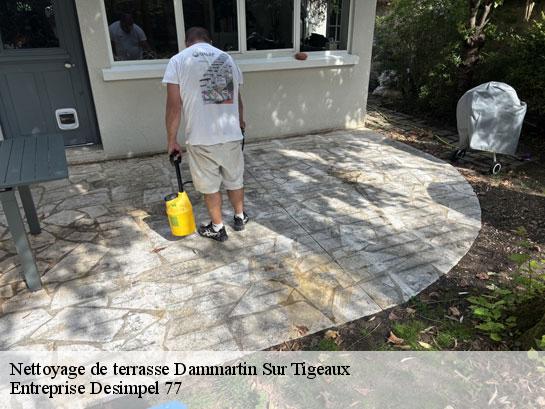 Nettoyage de terrasse  dammartin-sur-tigeaux-77163 Entreprise Desimpel 77