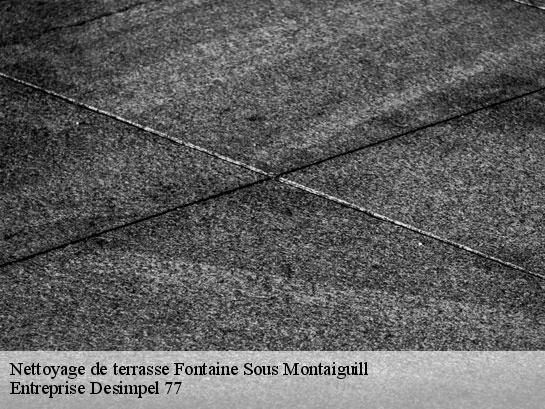 Nettoyage de terrasse  fontaine-sous-montaiguill-77560 Entreprise Desimpel 77