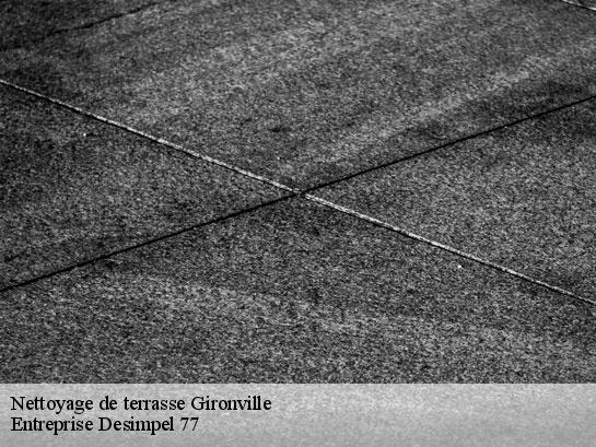 Nettoyage de terrasse  gironville-77890 Entreprise Desimpel 77