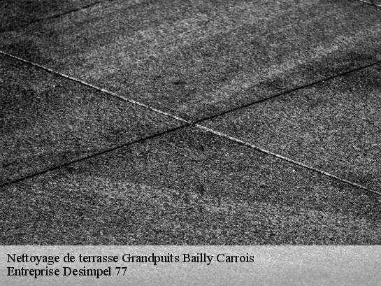 Nettoyage de terrasse  grandpuits-bailly-carrois-77720 Entreprise Desimpel 77