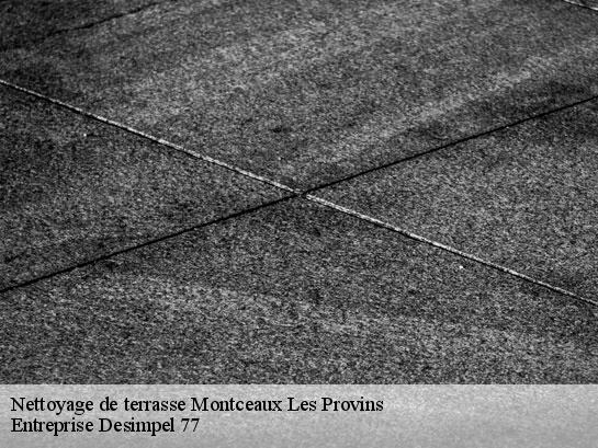 Nettoyage de terrasse  montceaux-les-provins-77151 Entreprise Desimpel 77