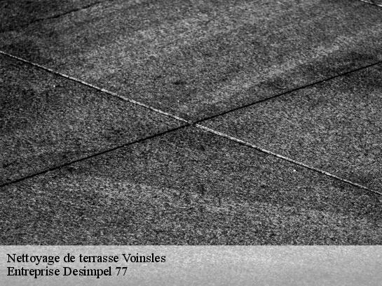 Nettoyage de terrasse  voinsles-77540 Entreprise Desimpel 77