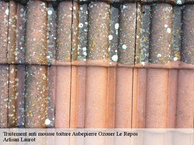 Traitement anti mousse toiture  aubepierre-ozouer-le-repos-77720 Artisan Laurot