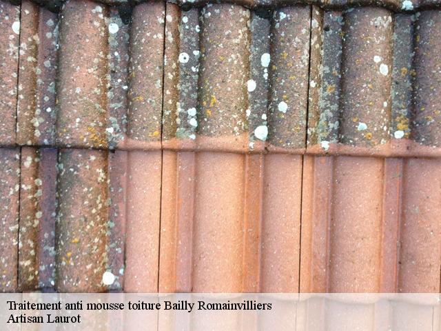 Traitement anti mousse toiture  bailly-romainvilliers-77700 Artisan Laurot