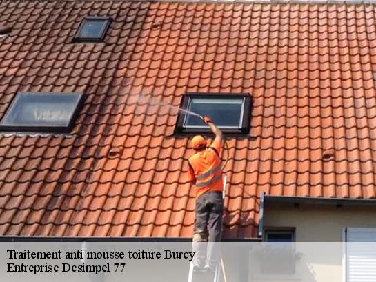 Traitement anti mousse toiture  burcy-77890 Entreprise Desimpel 77