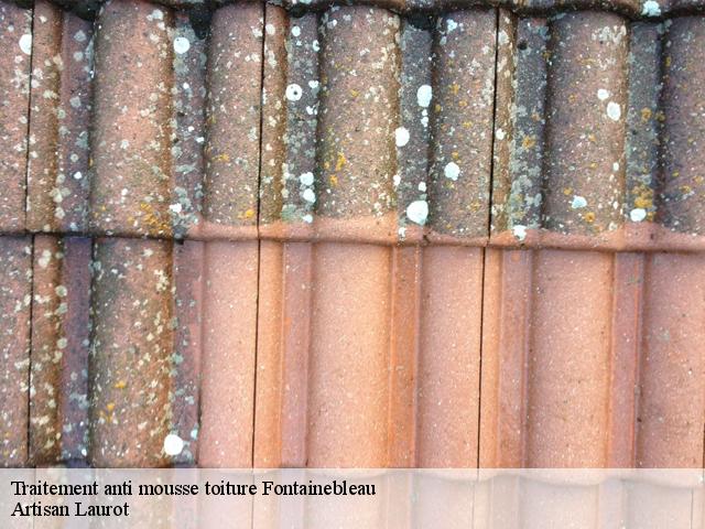 Traitement anti mousse toiture  fontainebleau-77300 Artisan Laurot