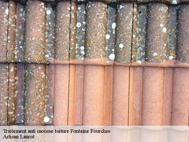 Traitement anti mousse toiture  fontaine-fourches-77480 Artisan Laurot