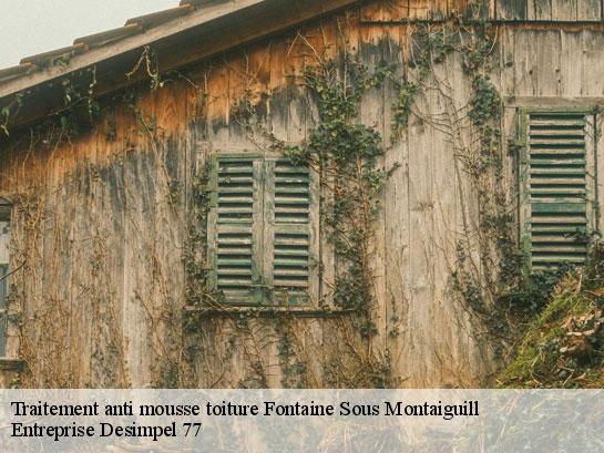 Traitement anti mousse toiture  fontaine-sous-montaiguill-77560 Entreprise Desimpel 77