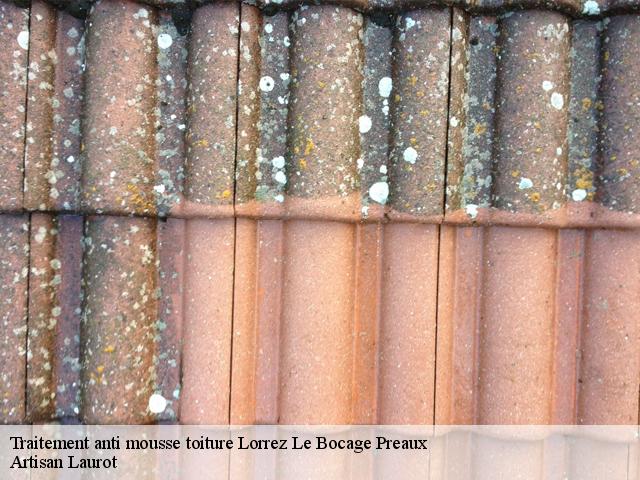 Traitement anti mousse toiture  lorrez-le-bocage-preaux-77710 Artisan Laurot