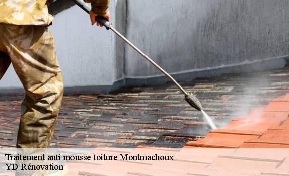 Traitement anti mousse toiture  montmachoux-77940 YD Rénovation