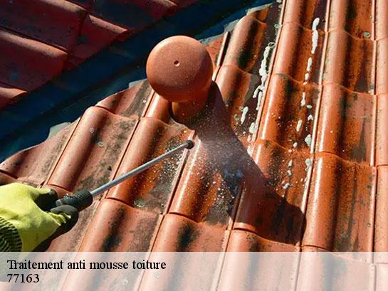 Traitement anti mousse toiture  mortcerf-77163 Entreprise Desimpel 77