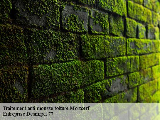 Traitement anti mousse toiture  mortcerf-77163 Entreprise Desimpel 77
